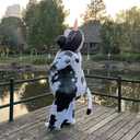 Arokibui Inflatable Cow Costume Blow up Costume for Cosplay Party Festival Halloween Parade Carnival Suit Jumpsuit