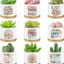 SAIWEILAI ONLINE 9Pcs Teacher Appreciation Gifts Teacher Flower Style Succulent Plant Pot Succulent Accessories for Teacher Women Birthday Gift Plants Not Included