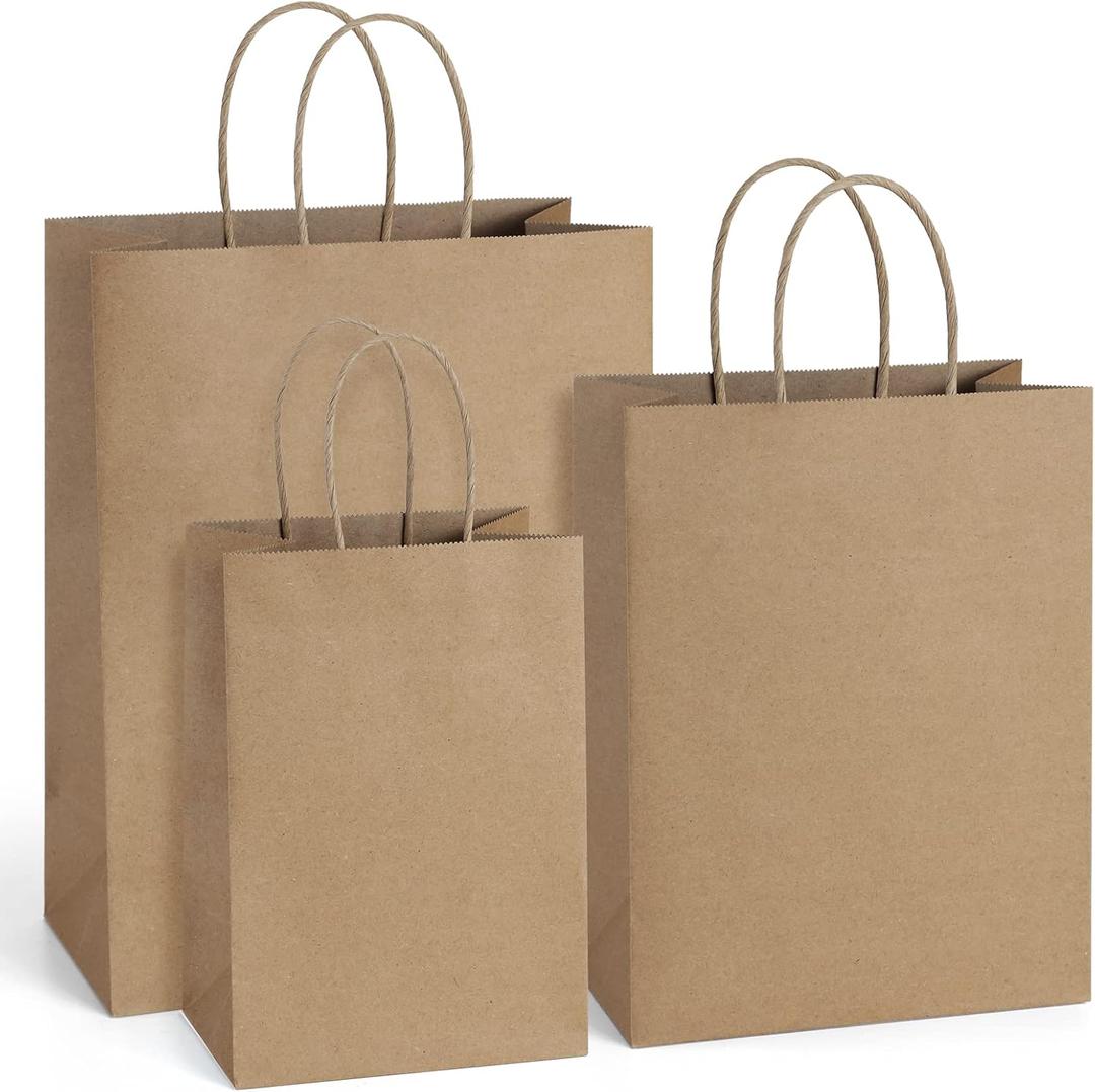 BagDream 75PCS Kraft Paper Bags 5x3x8, 8x4.25x10, 10x5x13 Gift Bags with Handles Bulk for Shopping, Retail, Merchandise, Recyclable Undecorated, Multi-Use Paper Sack (Brown)
