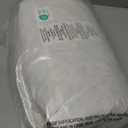 JA COMFORTS 1616 Premium Goose Down Feather Throw Pillow Inserts(Set of 2)-5% Down Filling,High Filling Weight,250 TC Cotton Cover, Square, White