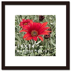 SKAOTUS 14x14 Picture Frame Black Solid Wood for Mat 10x10 Wall Mounting Square Poster Photo Frames