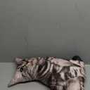 19.6'' Cat Shape Throw Pillow Plushie Doll - 3D Simulation Plush Stuffed Animal Toy for Kids, Sofa Chair Home Decor (Grey)