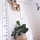 Kids Growth Chart, Wood Frame Fabric Canvas Height Measurement Ruler from Baby to Adult for Child's Room Decoration 7.9 x 79in (7.9 x 79in, White & Black)