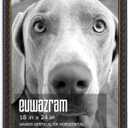 Ornate Black 18x24 Picture Frame with Raised Leaf Border, 18 x 24 in