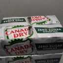 4 x Canada Dry Zero Sugar Ginger Ale Soda, 12 fl oz cans, 12 pack (EXP 10/18/26)