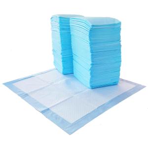 Basics Dog and Puppy Pee Pads, 5Layer LeakProof Super Absorbent, QuickDry Surface, Potty Training, Regular (22x22"), 100 Count, Blue & White