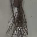 Lighted Christmas Tree Branches, 30IN 100LED Artificial Brown Twig Branch with Warm White Lights, Timer & Battery Operated, Waterproof for Indoor Outdoor Holiday Xmas Office Bedroom Party Decorations