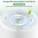 2 Pack 211i Max Replacement Filter Compatible with BLUEAIR Blue Pure 211i Max Air Purifier, Ture HEPA & Activated Carbon Replacement Filter