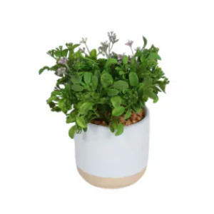 HD Designs Bloom Greenery, 4 in 
