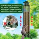 Metal Squirrel Proof Bird Feeders for Outdoors Hanging 5.5LB Lager Capacity