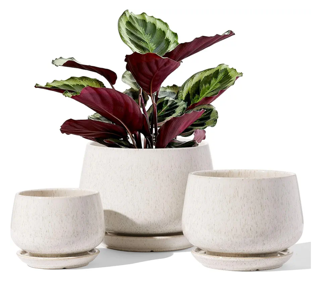 LE TAUCI Plant Pots, 4.1+5.1+6.5 inch, Set of 3, Ceramic Planters with Drainage Hole and Saucer, Indoor Flower Pot with Hole Mesh Pad, Gifts for Mom, Reactive Glaze Beige