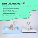 Indestructible Dog Bed for Large Dogs - Memory Foam Dog Bed with Reversible Breathable Mat, 4-Sided Bolster, Machine Washable Cover & Non-Slip Bottom, 36 x 27 x 6 Inch