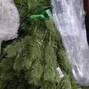 National Tree Company 10 ft Pre-Lit Downswept Douglas Fir Artificial Christmas Tree, 1,000 Clear Lights, 3,933 Tips, Includes Stand, Green