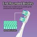 Electric Toothbrush Replacement Heads for Spinbrush Pro Series Compatible with PRO Clean & Pro Whiten (Legacy Handles Only), Medium Bristles, Adult, Individually Wrapped, 10-Pack