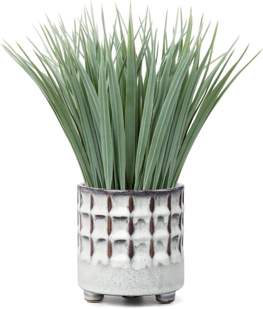 Hollyone Fake Grass Plant in Ceramic Pot Artificial Potted Plants Small Faux Plants for Home Decor Realistic Green Grass House Living Room Bedroom Bathroom Office Indoor & Outdoor Greenery Decoration (Power/Dusty Look) Hollyone Fake Grass Plant in Ceramic Pot Artificial Potted Plants Small Faux Plants for Home Decor Realistic Green Grass House Living Room Bedroom Bathroom Office Indoor & Outdoor Greenery Decoration (Power/Dusty Look)