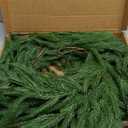 2Pcs 6FT Norfolk Pine Garlands Realistic, Real Touch Winter Xmas Garland, Christmas Decorations Indoor Outdoor, Artificial Holiday Decor Faux Greenery for Mantle, Fireplace, Table