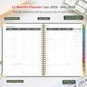 2 x 2026 Appointment Book/Planner - 2026 Daily Hourly Planner from Jan. 2026 - Dec. 2026, Weekly appointment Book 2026, 2026 Hourly planner with 20-Minute Interval, 9" x 11", Twin-Wire Binding, Colorful Tabs, Pocket - Green
