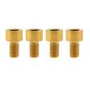 Titanium Ti M6x10 15 18 20 25 30 35 40 45 50 55 60 65mm Socket Allen Hex Bolt Pack of 4 (M6x10mm, Gold)