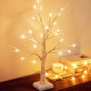 Valentines Day Lighted Birch Tree Decorations, 24 Inch Small Table Top Artificial LED Light Trees Decor with White Branches , 1 Timer USB & Battery Operated, Pack 2