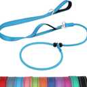 2 x Joytale Tangle-Free Slip Leads for Dogs, 6 FT Slip Leash with Padded Double Handle, Reflective Nylon Training Leash for Small Medium Dogs 15-40 Lbs, Sky Blue