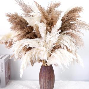 40 PCS Tall Pampas Grass for Floor Vase – 17" Natural Fluffy Dried Pampas Grass Stems, Large 20 White & 20 Brown Pоmpas Grass, Boho Pampas for Wedding, Home Decor, Halloween, Christmas