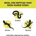 Zilla Rock Lair, Naturalistic Hide, Supports Shedding and Egg-Laying, Retains Humidity, Ideal for Snakes and Lizard, Medium