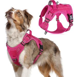 rabbitgoo Tactical Dog Harness Medium Sized Dog, No Pull Military Service Vest with Handle & Molle, Easy Control for Training Walking, Adjustable Reflective Straps, Rose Red, M