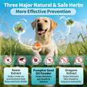 2 x Flea and Tick Prevention Support for Dogs, Natural Flea Treatment Drops with Neem, Oregano for Puppy Oral Flea and Tick Treatment Supplement for All Breeds and Ages - Chicken Flavor, 2 FL.Oz