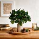 12 Inch Artificial Plant Indoor,Small Fake Plants Eucalyptus Stems With Vase,Faux Greenery In Pot For Farmhouse Home Decor,Bathroom Living Room Kitchen Office Coffee Table Centerpiece (cream white)