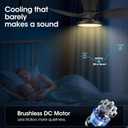 ocioc Quiet Ceiling Fan with LED Light DC motor 32 inch Large Air Volume Remote Control for Kitchen Bedroom Dining room Patio