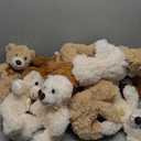 MaoGoLan 12 Pack Teddy Bears in Bulk, 14inch Small Stuffed Animals Teddy Bears for Baby Shower Wholesale Plushies for Themed Birthday Wedding Party Favors - 3 Colors