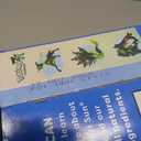 Capri Sun Strawberry Kiwi Ready-to-Drink Juice (10 Pouches) BBD:10-17-26