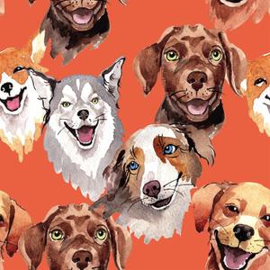 VEELIKE Cool Dog Wallpaper Stick and Peel Removable Orange Whimsical Dogs Wall Mural for Kids Room Bathroom 17.7''x118'' Self Adhesive Renter Friendly Puppy Animal Wallpaper for Nursery Bedroom