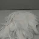 ColorGround Short White Cosplay Wig with Glasses for Halloween