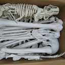 5.4Ft Posable Halloween Skeleton with Dog Cat Skeleton for Halloween Decor Full Body Life Size Human Bones with Movable Joints, Size: 65IN