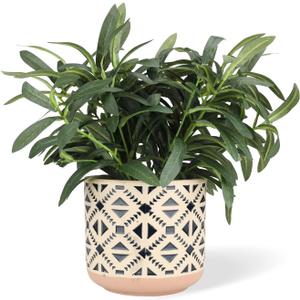 Ceramic Planter 4 Inch Plant Pots Indoor Outdoor Succulent Plant Pot Flower Pots Mid-Century Planter Ceramic Pot (Rhombus)