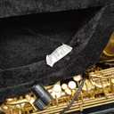Eastar Alto Saxophone Beginner Student Eb Sax, Golden Full Kit, AS-II