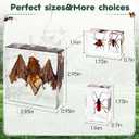 9 Pcs Insects Taxidermy Bat Set,Bat Specimen Bugs in Resin Taxidermy Animal Bulk Collection for Scientific Eduation,Entomology Supplies Display,Oddity Bug Gifts Decor Paperweights(Real Bat in Resin)