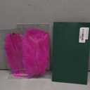 THARAHT Hot Pink Ostrich Feathers 24pcs Natural Bulk 8-10Inch 20cm-25cm for Crafts Wedding Party Centerpieces Easter Gatsbi and Home Decoration Feathers (Fuchsia)