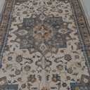 Dripex Vintage Collection Washable Area Rug - 2x3 Door Mat Small Entryway Rug Distressed Non-Slip Low-Pile Floor Carpet for Indoor Front Entrance Kitchen Bathroom Living Room Bedroom