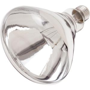 Satco 250-Watt BR40 Incandescent CLEAR Heat Lamp Light Bulb (12 Pack)