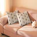 Living Room Decor Couch Throw Pillow Covers with Square 18 * 18 Set of 2 for Cozy Home Bed and Textured Velvet (Light Coffee)