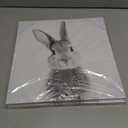 2 x daktenn Bunny Wall Art Lovely Rabbit Posters for Baby Room Easter Artwork Nursery Wall Decor Easter Wall Art Rabbit Pictures Wall Decor Bunny Pictures for Bathroom Bedroom 14x14 Inches