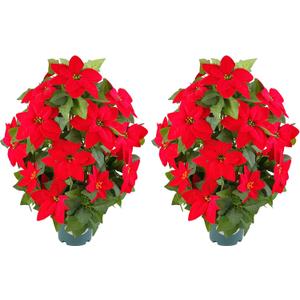 Artificial Poinsettia Christmas Tree in Pot, 28 Inch Faux Red Holiday Tree Decor, Christmas Tabletop Tree Arrangement, Indoor Outdoor Christmas Decoration for Home, Entryway, Front Porch (Red)