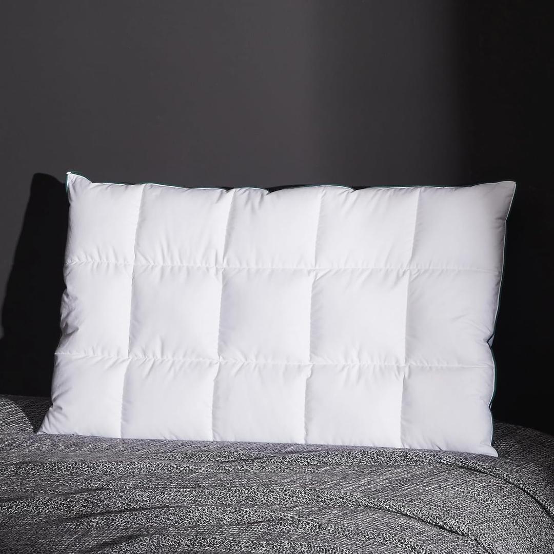 Three Geese Ultra Thin Flat Goose Down Feather Pillows for Sleeping Queen Size, 2.5" Height, 100% Cotton Cover, Ultra Slim Hotel Collection Bed Pillow for Stomach, Back Sleeper, 18x30 in.