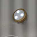 EZVALO Picture Lights for Wall, 2000mAh Rechargeable Battery Magnetic Poster Lights with 3 Color Temps & 12 RGB, Remote Dimmable Timer Painting Light, Wall Decor Light for Art Display, Frame (1 pck) (Gold)