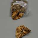 WILLBOND 24 Pieces Satin Hair Scrunchies Silky Elastic Bands Skinny Solid Hair Ties Ropes Ponytail Holder for Women Headdress Accessories Decorations, 2 Sizes (Brown)