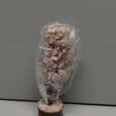 Rose Quartz Money Tree, Crystal Gifts, Rose Quartz Crystals, Fengshui Money Tree, House Warming Gifts New Home, Pink Office Supplies, Healing Crystals, Pink Room Decor for Women, Spiritual Decor