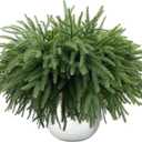 Christmas Norfolk Pine Branches Stems 18 Inch Real Touch Artificial Norfolk Pine Stems Branch Faux Cedar Pine Christmas Fake Greenery Picks for Vase DIY Garland Wreath Home Decoration (12)