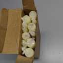 12 Pack Ivory Taper Candles 10 inch - Taper Candles Dripless, Smokeless, Unscented - 8 Hours Long Burning - Hand Poured Tall Candlesticks - Perfect for Home Decor, Weddings, and Special Occasions